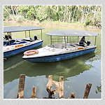 Poovar Backwater Motor Boat Cruise online Booking